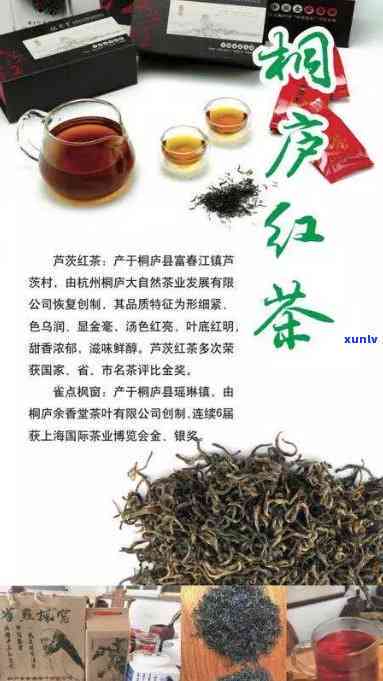 桐庐红茶什么牌子？口感大比拼！