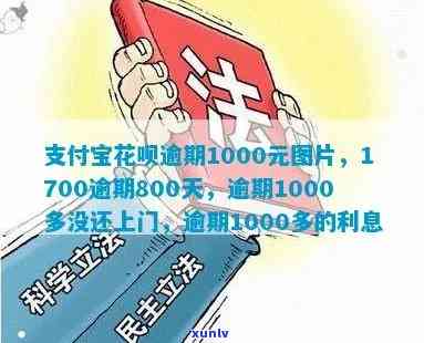 支付宝花呗800元逾期25天：结果与解决办法