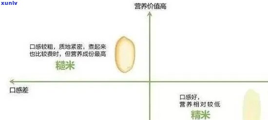 糙米吃起来有点像没熟：口感、味道与熟度的关系解析