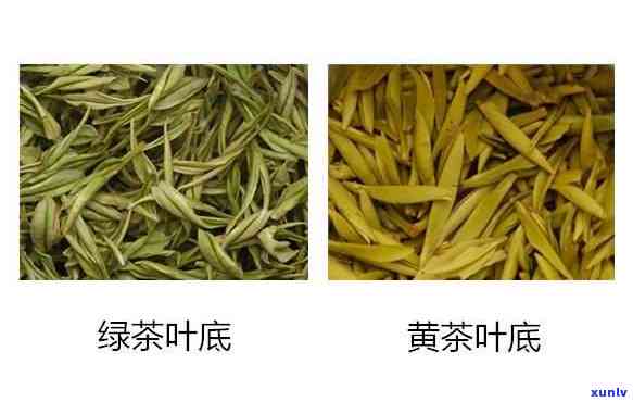 “糯米香茶：绿茶、红茶还是黄茶？它究竟是什么？”