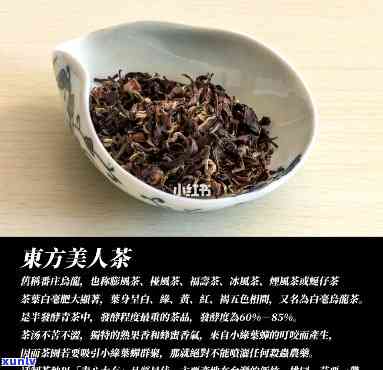 东方美人茶是红茶吗，解惑：东方美人茶是否属于红茶？