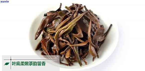 东方美人茶是红茶吗，解惑：东方美人茶是否属于红茶？