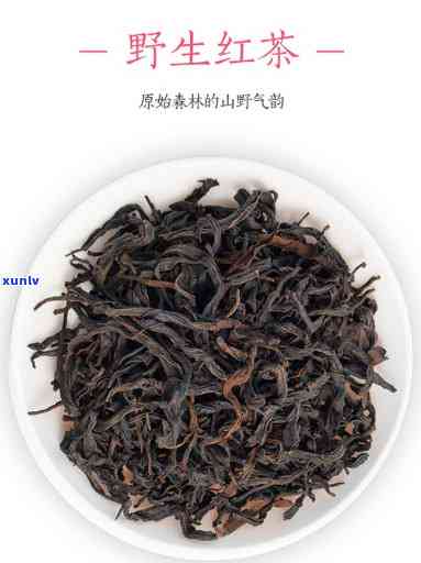 野山红茶是什么茶，探秘野生山红茶：了解这种独特的茶叶品种