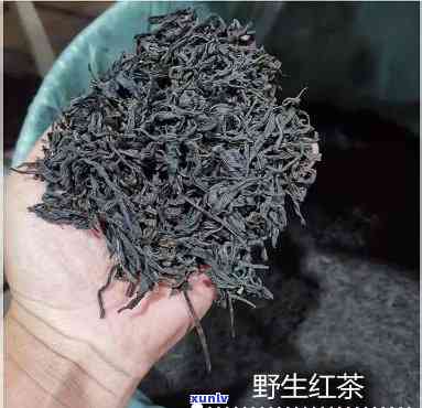 野山红茶是什么茶，探秘野生山红茶：了解这种独特的茶叶品种