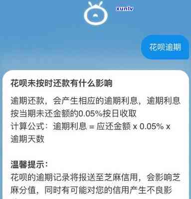 支付宝花呗逾期800多天，能否只还本金？风险怎样？