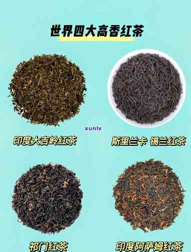 世界四大高香型红茶是门红茶大吉岭红茶判断题，世界四大高香型红茶：门红茶、大吉岭红茶，你了解多少？