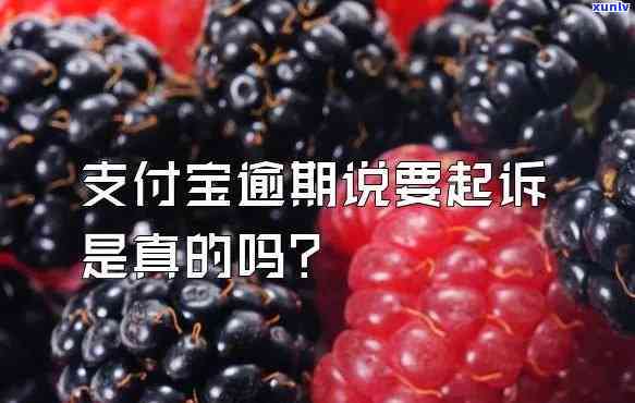 支付宝花呗逾期150天，起诉是不是真实？