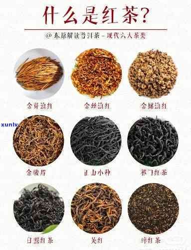 江山红茶是什么红茶-江山红茶是什么红茶品种