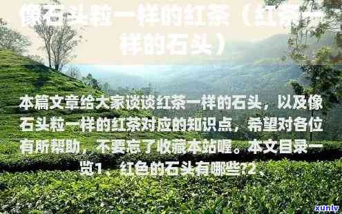 和小石头一样的红茶是什么，寻找答案：哪种红茶口感像小石头？