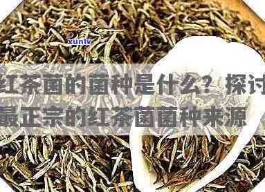 红茶菌菌上长白毛的原因及处理 *** ：还能继续使用菌种吗？