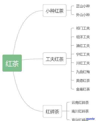 红茶包括哪些种类，探秘红茶世界：了解红茶的多样品种与分类