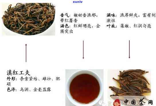 红茶包括哪几种茶，探秘红茶世界：你所不知道的红茶种类