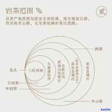 水平壶是否适合泡岩茶？探讨原因与知乎观点