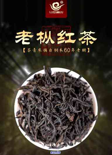 桐木关8880老枞红茶，品尝醇厚口感的桐木关8880老枞红茶