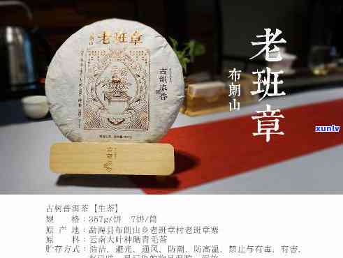 老班章文化发展，探索老班章茶文化：老班章文化发展的历程与未来展望