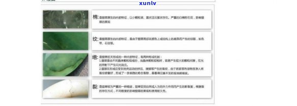 天然翡翠说明-天然翡翠说明书