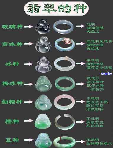 如何划分翡翠种类：从颜色、种水、形状等方面详解