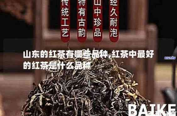 山东比较有名的红茶是什么？详解其种类与特点