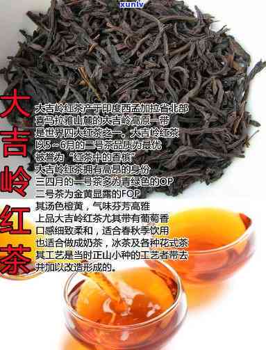 世界销量更大的红茶的品种，揭秘世界销量更大红茶的品种