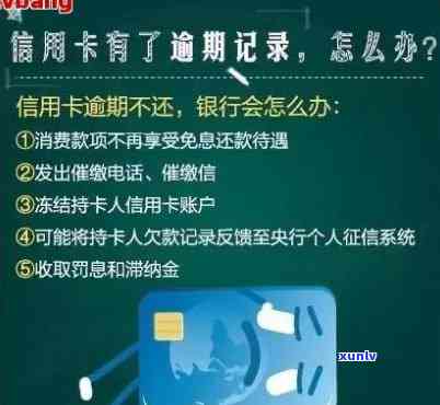 2020年信用卡逾期新规定全解析，包含招商银行和9月最新政策