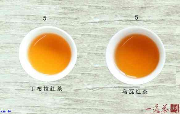 锡兰红茶和中国红茶哪个好喝，口感对决：锡兰红茶 vs 中国红茶，谁更胜一筹？