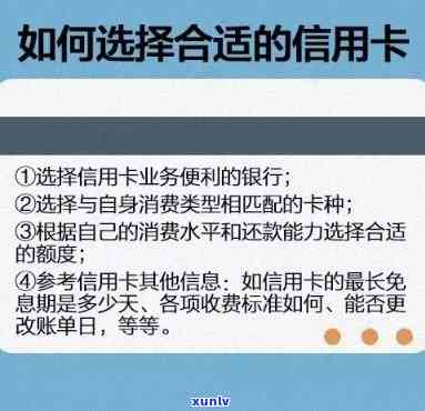 全面掌握普洱茶种植技术：从选种到栽培的详细指南与实践经验