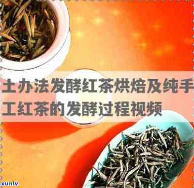 低下如何发酵红茶茶叶？详细教程视频