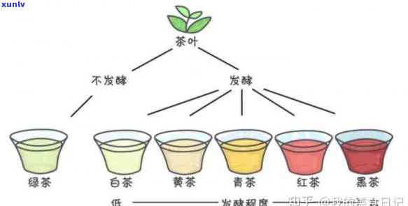 红茶茶多酚含量高吗-含茶多酚最多的茶叶排行