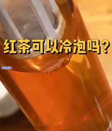 冷泡茶能泡红茶吗？原理及适用围全解析