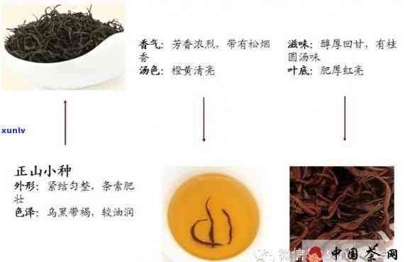 佛手茶：红茶还是绿茶？探讨其分类归属