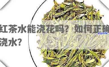 红茶水发酵后可以浇花吗，红茶水发酵：一种环保的花卉肥料？