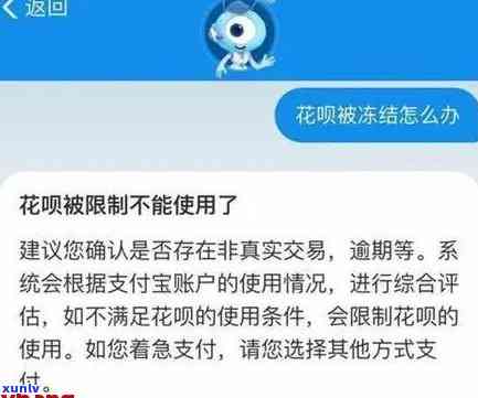 支付宝花呗逾期开庭了怎么办，支付宝花呗逾期被起诉，怎样应对开庭？