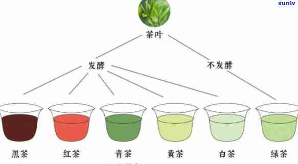 发酵茶可分为哪三类-发酵茶可分为哪三类类型