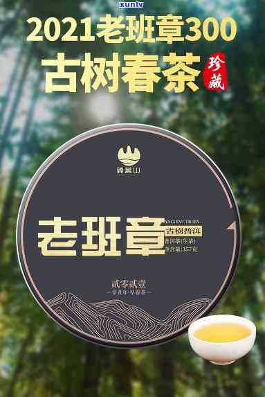 老班章古树茶口感特点生普：生茶特点及价格全解析