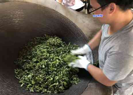 老班章古树单株生茶-老班章古树生茶的特点