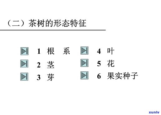 按照茶树的树形分类有，按树形分类的茶叶你知道吗？