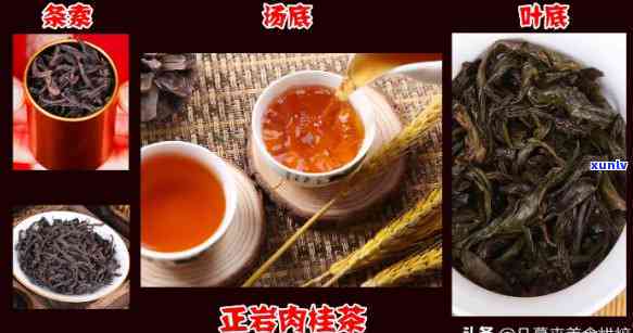 正岩红茶是什么红茶-正岩红茶是什么红茶啊