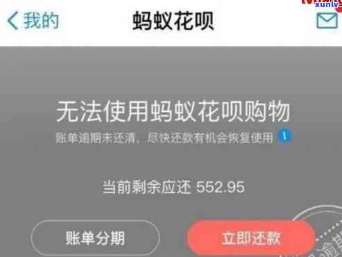 支付宝花呗逾期被停-支付宝花呗逾期被停用了怎么才能恢复