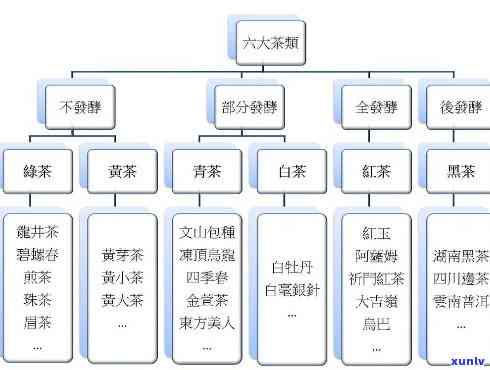 茶为什么分为六大类-茶为什么分为六大类别