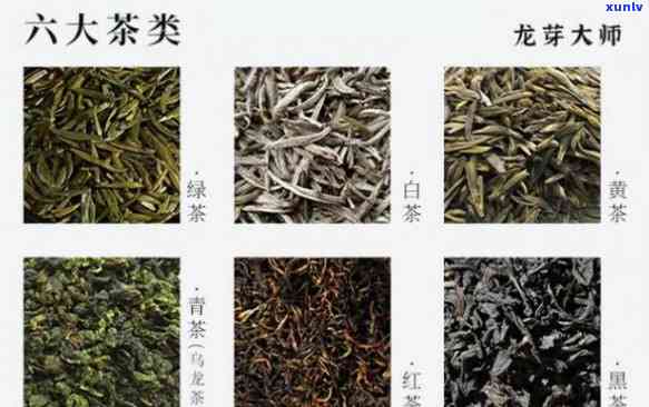 茶分为六种：六种不同的茶种类详解