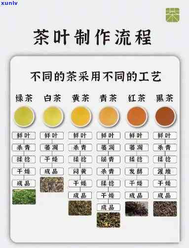 茶分为六种：六种不同的茶种类详解