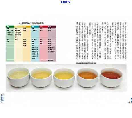 茶基本可分为哪六类-茶基本可以分为哪六类