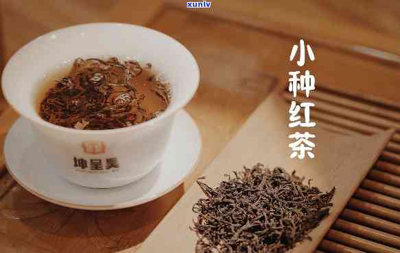 200块一斤的红茶有哪些，寻找口感与价值并存的红茶？来了解一下200元/斤的热门红茶品种！