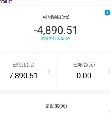 支付宝网商贷逾期花呗被停-支付宝网商贷逾期花呗被停用怎么办