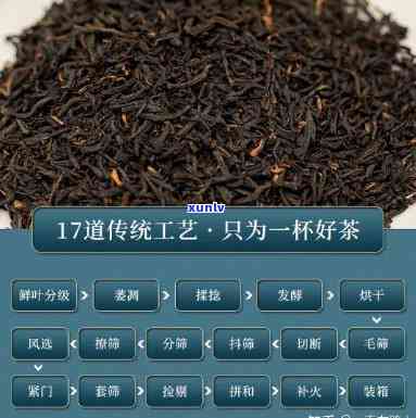 红茶哪个节出新茶？节选择对口感有何影响？