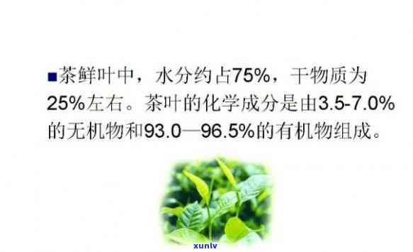 茶树叶水分含量：以克或毫克为单位的具体数值