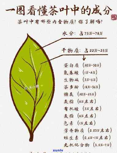 茶树叶水分含量占比：关键因素及其重要性