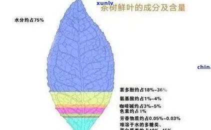 茶树叶水分含量占比：关键因素及其重要性