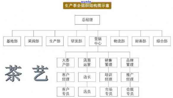 茶艺分类标准是什么内容，探究茶艺的分类标准及其内涵