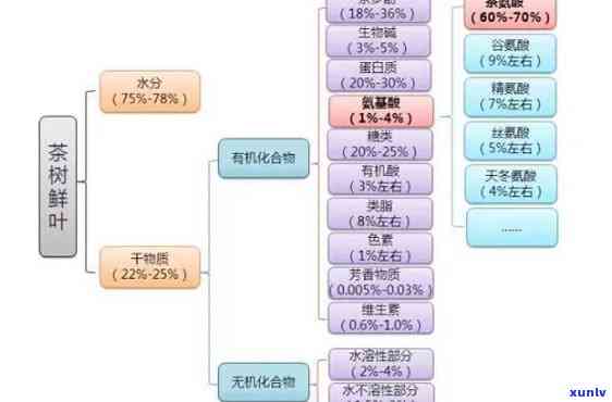 茶里含有哪些成分具有提神效果？哪种成分最有效？